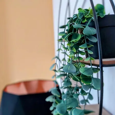 Apartman O2 1 Bedroom-entire Apartment, 38b, Wi-fi, Netflix
